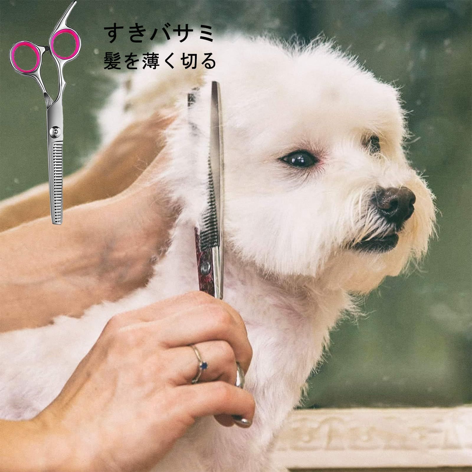 トリミング ハサミ 犬用グルーミングはさみキット プロフェッショナル 