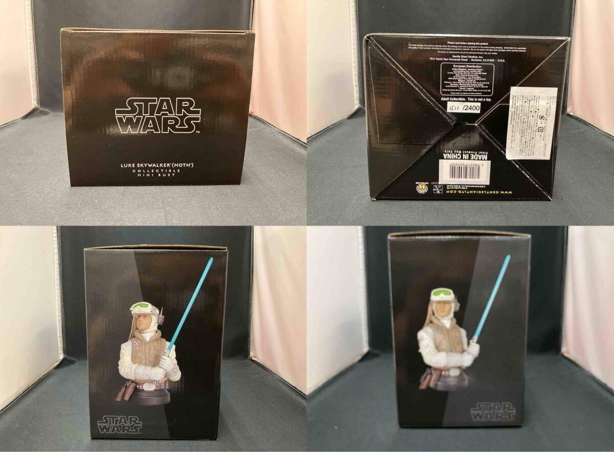 ホットトイズジャパン フィギュア スター・ウォーズ Mini-Bust ルーク