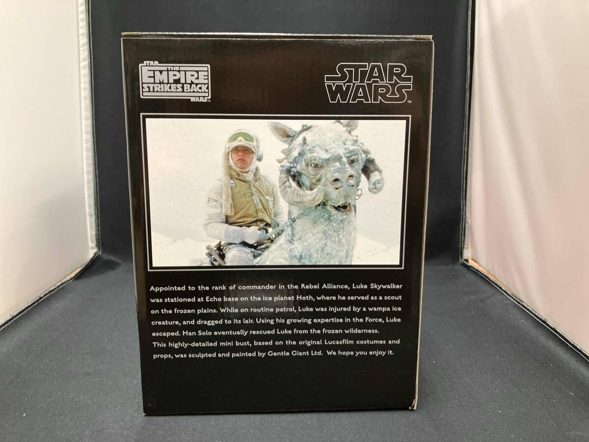 ホットトイズジャパン フィギュア スター・ウォーズ Mini-Bust ルーク