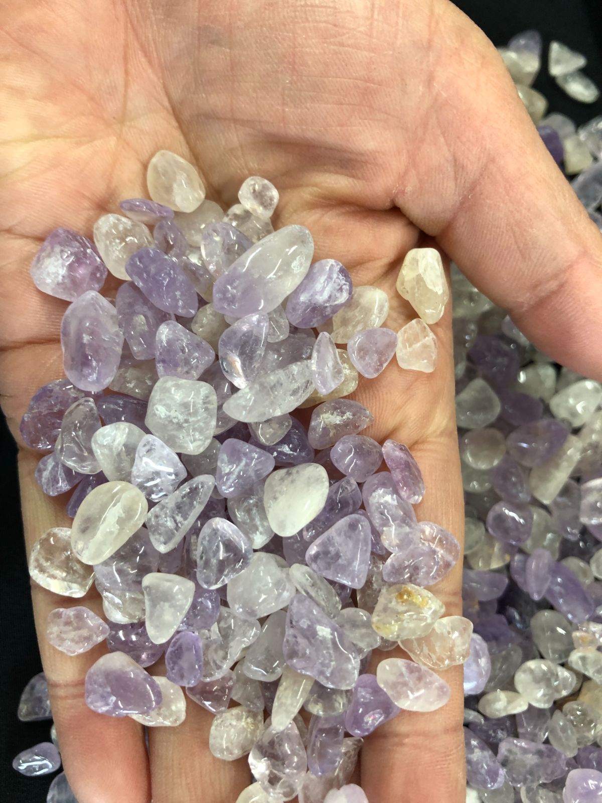 チップ BOX|ブラジル産