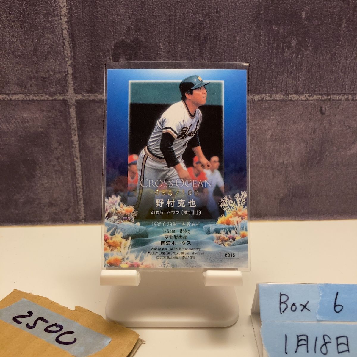2025 BBM 野村克也 /100 緑箔サイン 南海ホークス Cross Ocean カード
