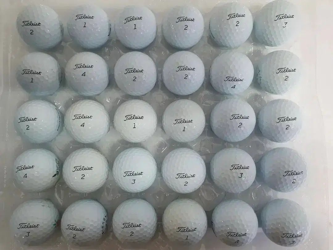 Titleist (タイトリスト) ゴルフボール ロストボール 100個 【公式通販】