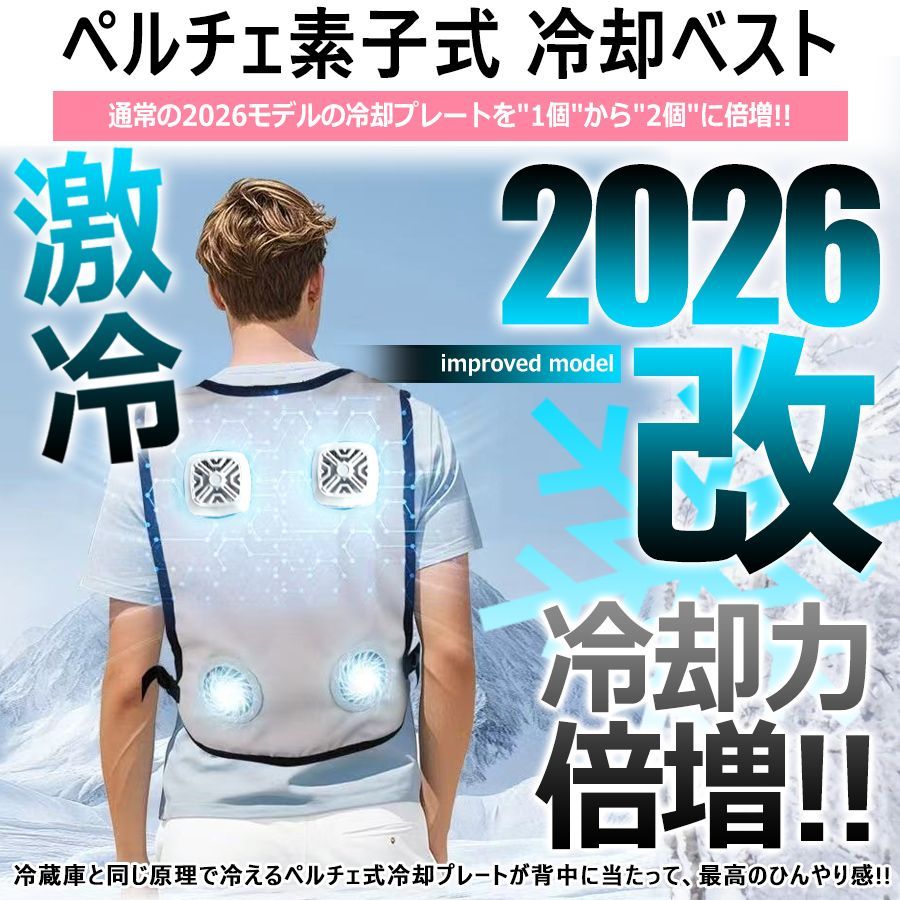 冷却ベスト 【2026】 冷却プレート2枚搭載 ペルチェ ベスト 超大冷却面