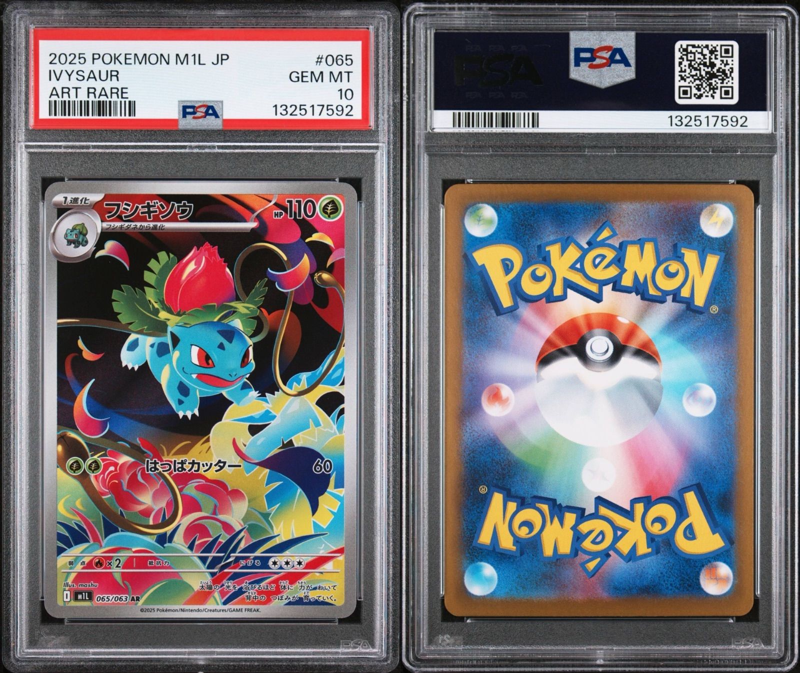 PSA10】フシギダネ・フシギソウ・メガフシギバナ 連番 メガブレイブ