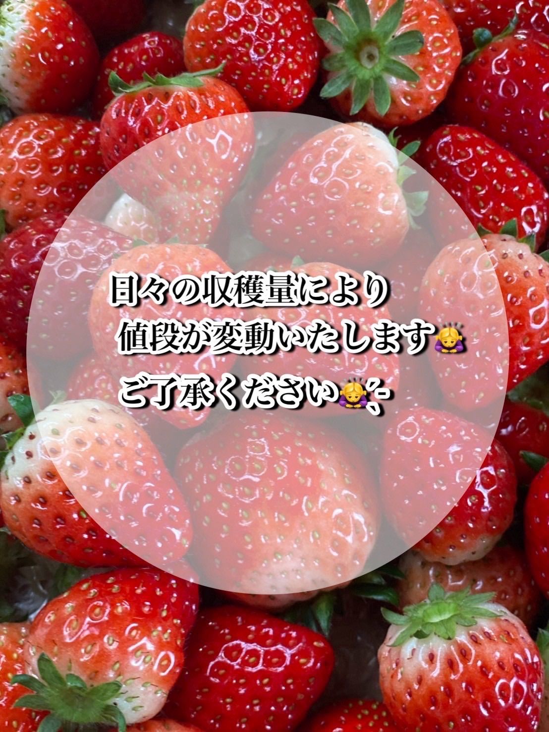 栃木県産】とちあいか 減農薬いちご A級品+訳あり - メルカリ