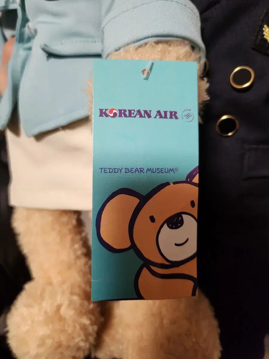 大韓航空 テディベア ぬいぐるみ セット パイロットジャンパー/丈