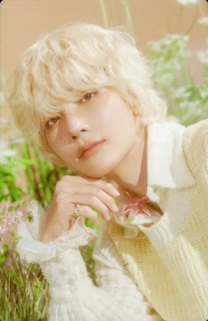 中古】コレクションカード(男性) SEVENTEEN/ジョンハン(JEONGHAN)/裏面