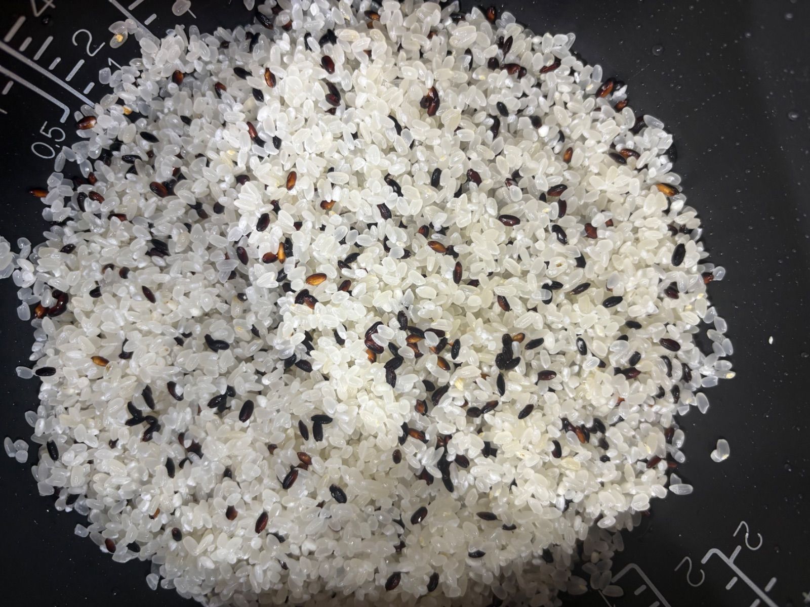 7年度愛知県産 黒米 2Kg - メルカリ