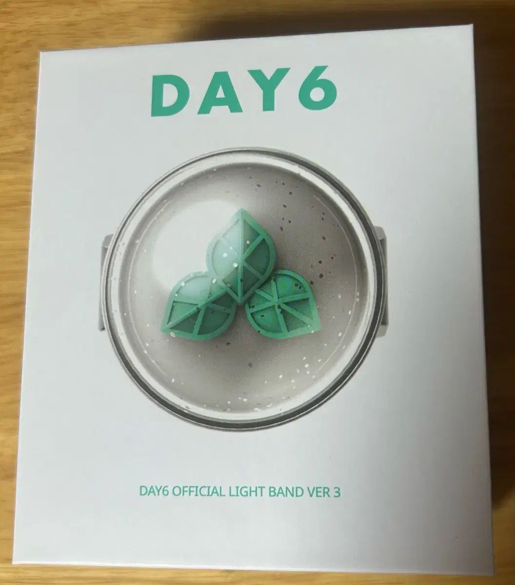 DAY6 OFFICIAL LIGHT BAND Day6 ペンライト3