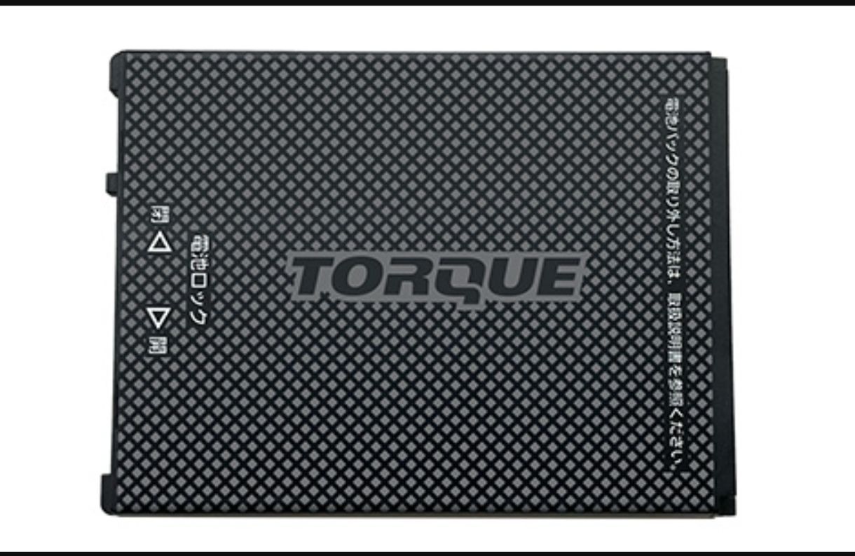新品未使用 TORQUEG06 純正 電池パック バッテリー充電器セット 【公式 