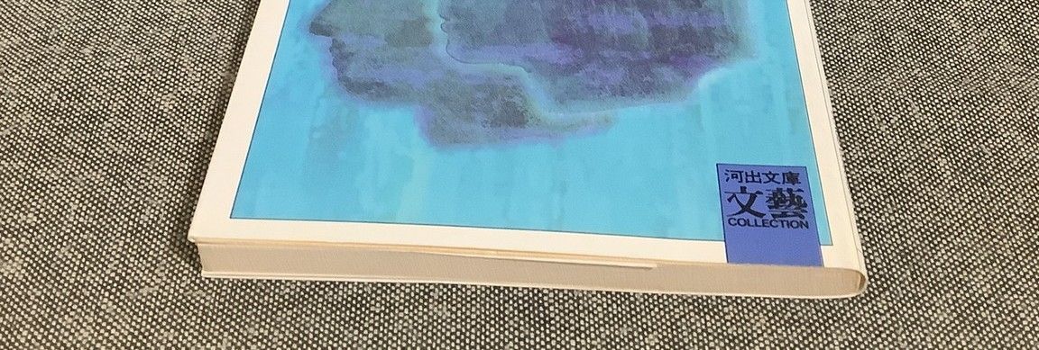 シーズ・レイン 平中 悠一 (著) 河出文庫 1990年出版 - メルカリ