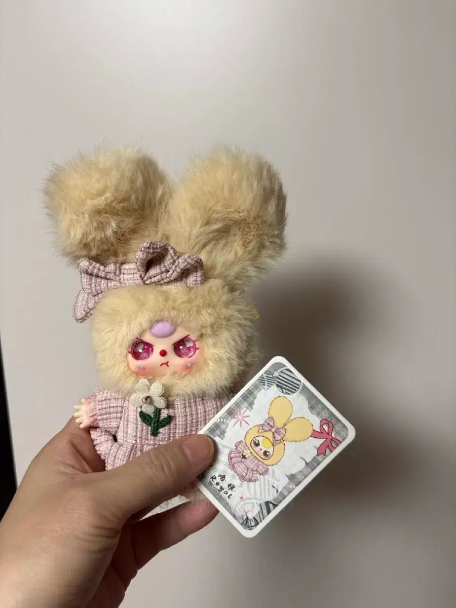 ベス 50% オール服 クローゼット ぬいぐるみ