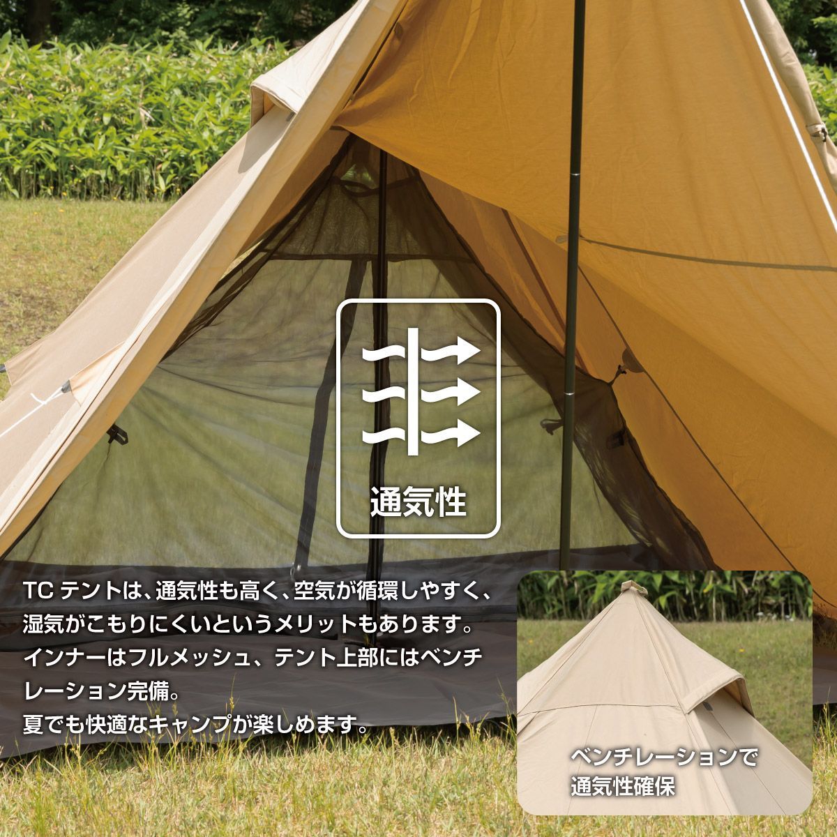 在庫処分】【訳あり】【特価品】【送料無料】ソロティピーTC サンド