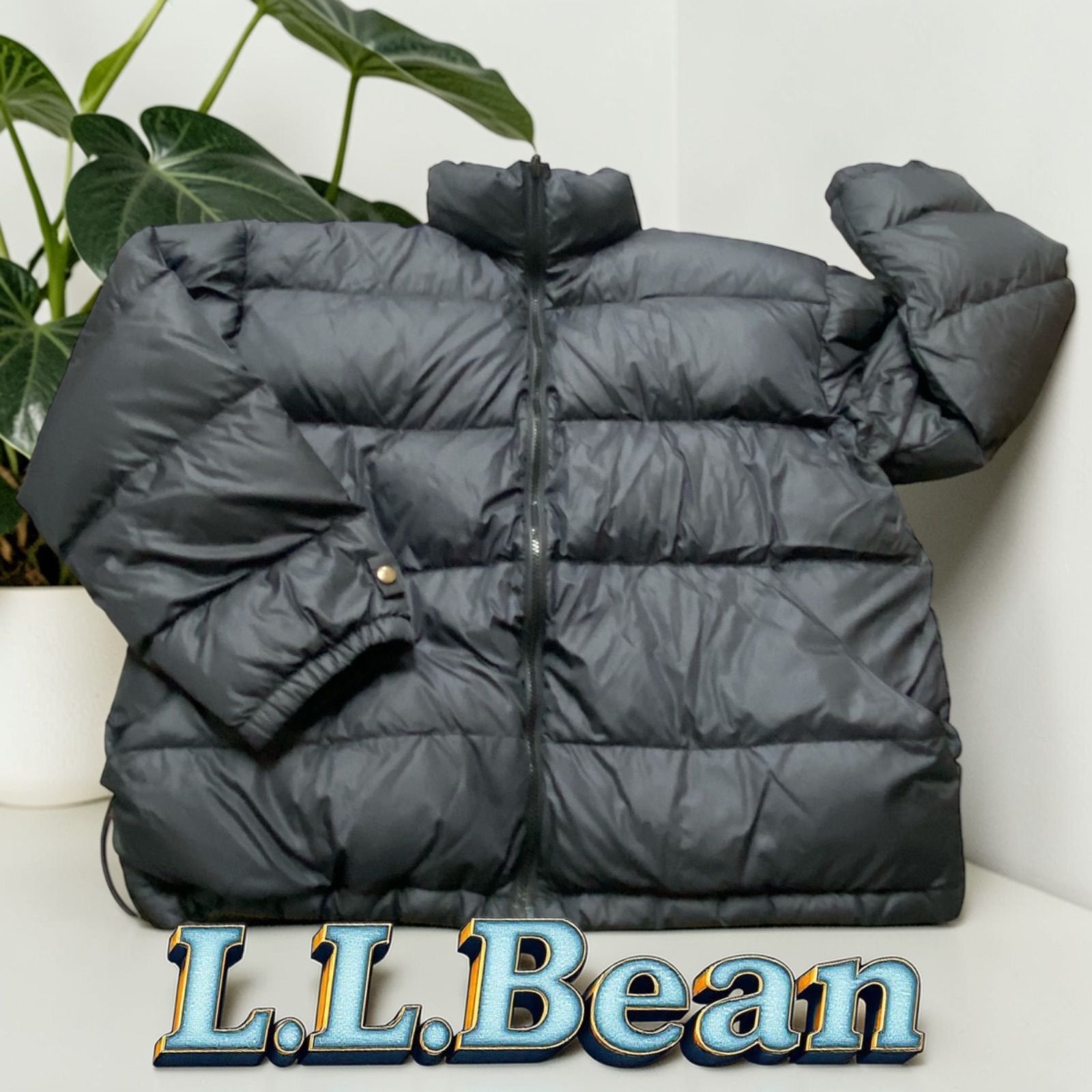 L.L.Bean エルエルビーン 90s オールド ダウンジャケット L ブラック 