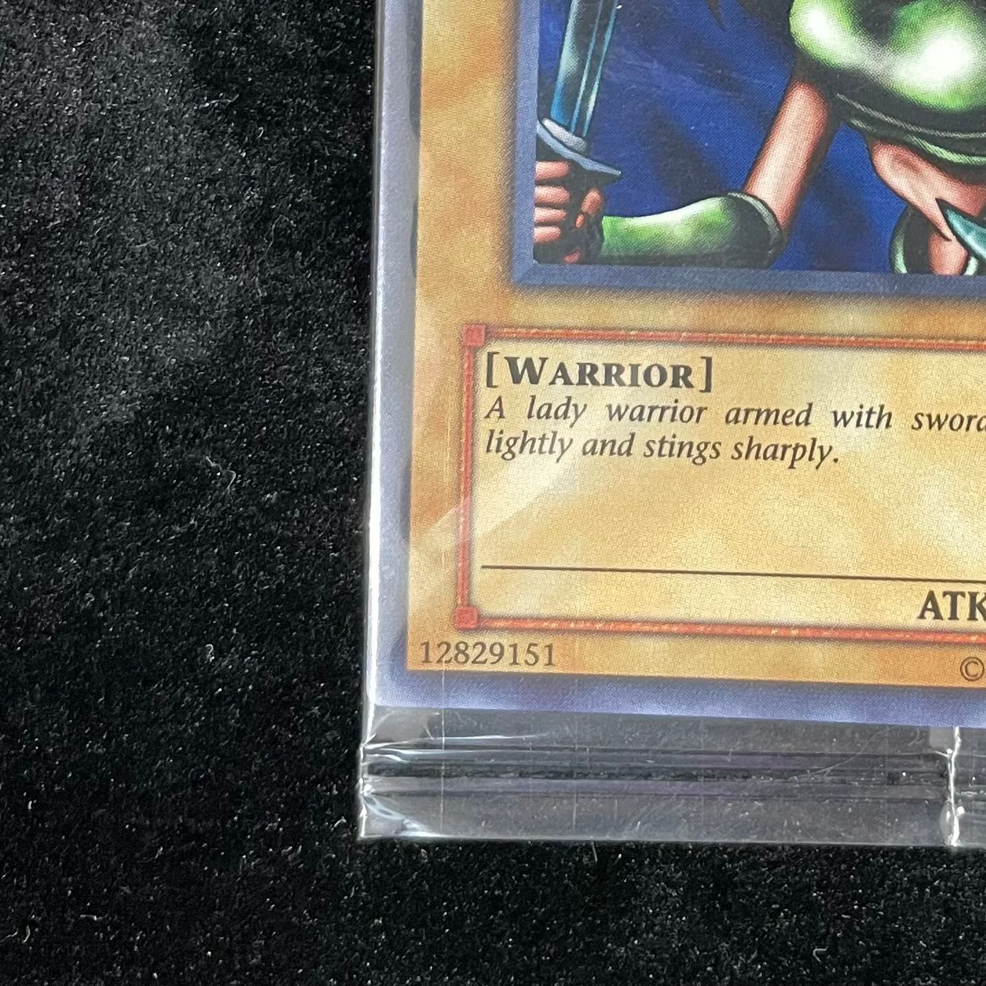 女剣士カナン/Kanan the Swordmistress （未開封）（スーパー） WCS