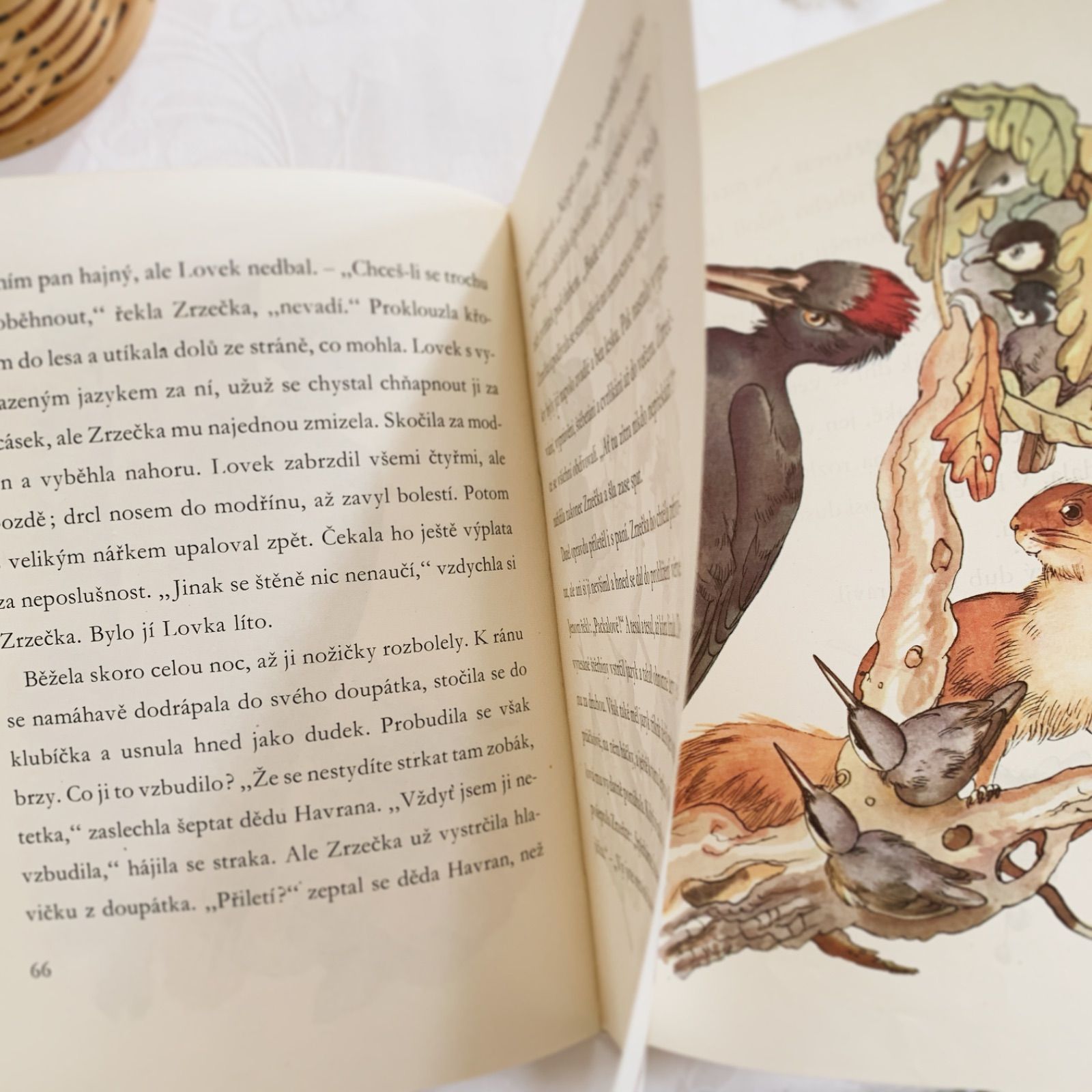 カレル・スヴォリンスキー挿絵のビンテージチェコ絵本 りすの