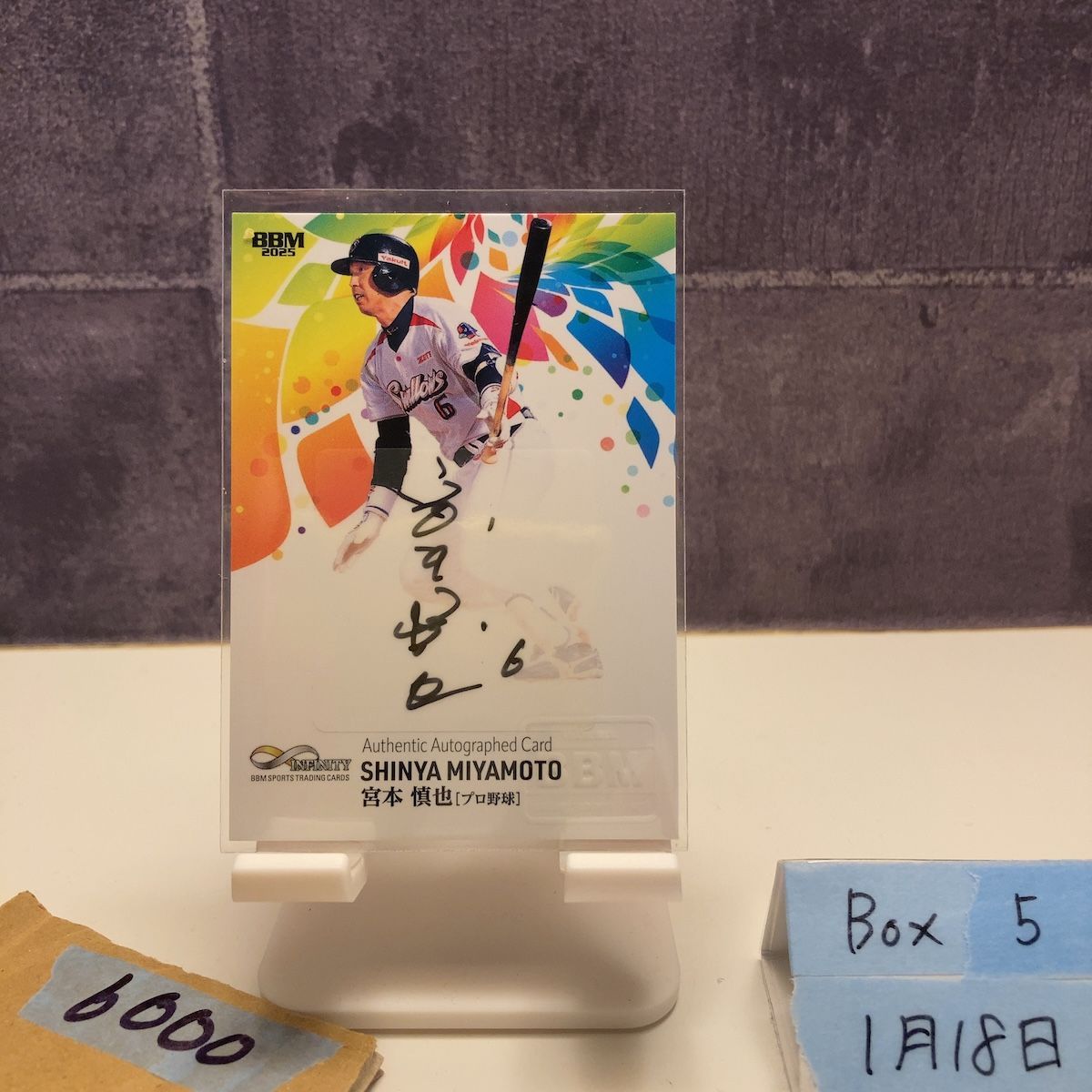 2025 BBM 宮本慎也 16/30 直筆サインカード 東京ヤクルトスワローズ