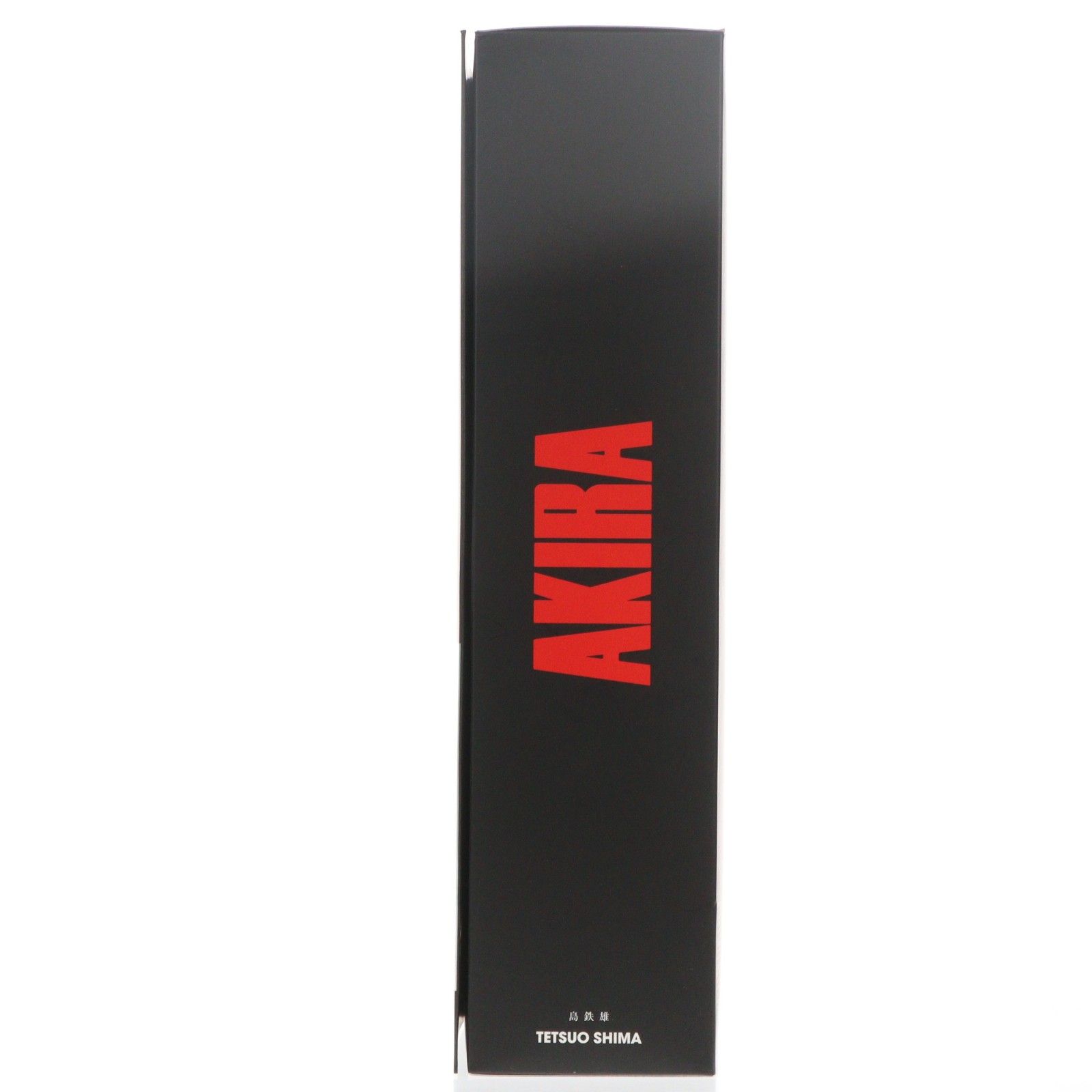 PROJECT BM! No.40 PBM! 島鉄雄 AKIRA(アキラ) 完成品 可動フィギュア