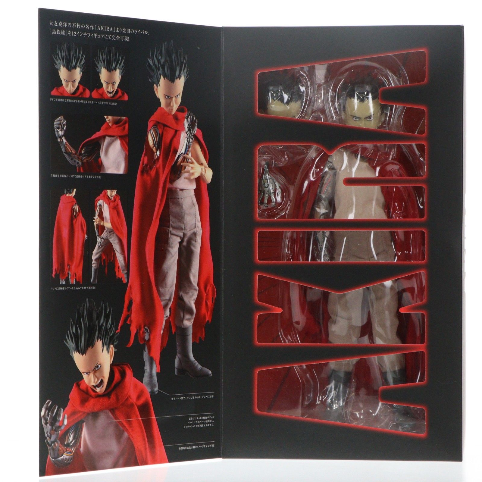 PROJECT BM! No.40 PBM! 島鉄雄 AKIRA(アキラ) 完成品 可動フィギュア