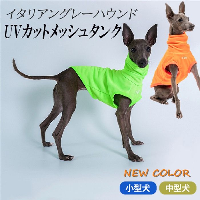2XS】イタリアングレーハウンド 服 イタグレ ミニピン ウィペット