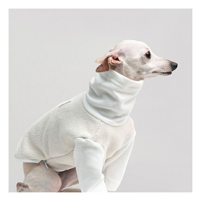 XS】イタグレ服 ダブルボア イタリアングレーハウンド 専用服