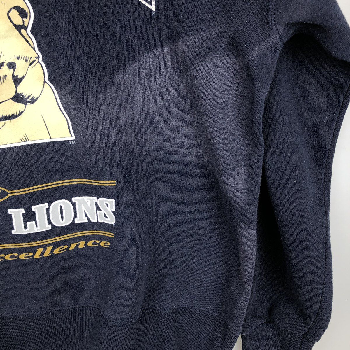 古着 00年代 リー Lee SPORT PENN STATE ペンシルベニア州立大学