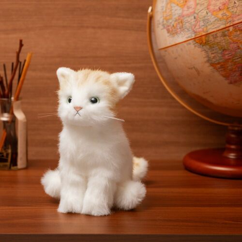 2月22日発売 限定記念セット】かわいいなきごえ あまえんぼう子ねこ