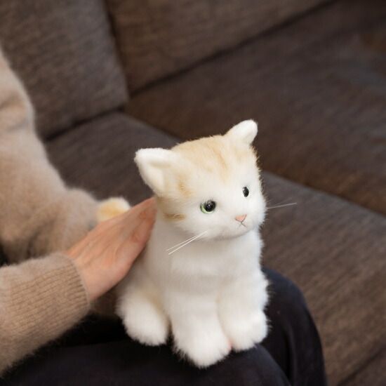 2月22日発売 限定記念セット】かわいいなきごえ あまえんぼう子ねこ