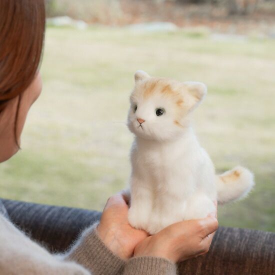2月22日発売 限定記念セット】かわいいなきごえ あまえんぼう子ねこ
