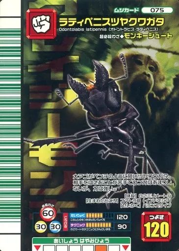 中古】ムシキング 075：ラティペニスツヤクワガタ - メルカリ