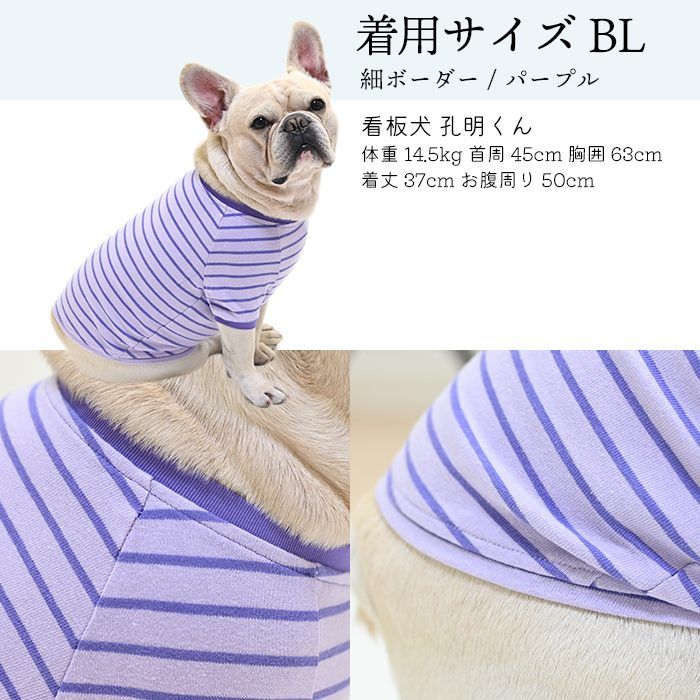 BXLサイズ】犬服 フレンチブルドッグ 犬 ボーダーTシャツ 綿100