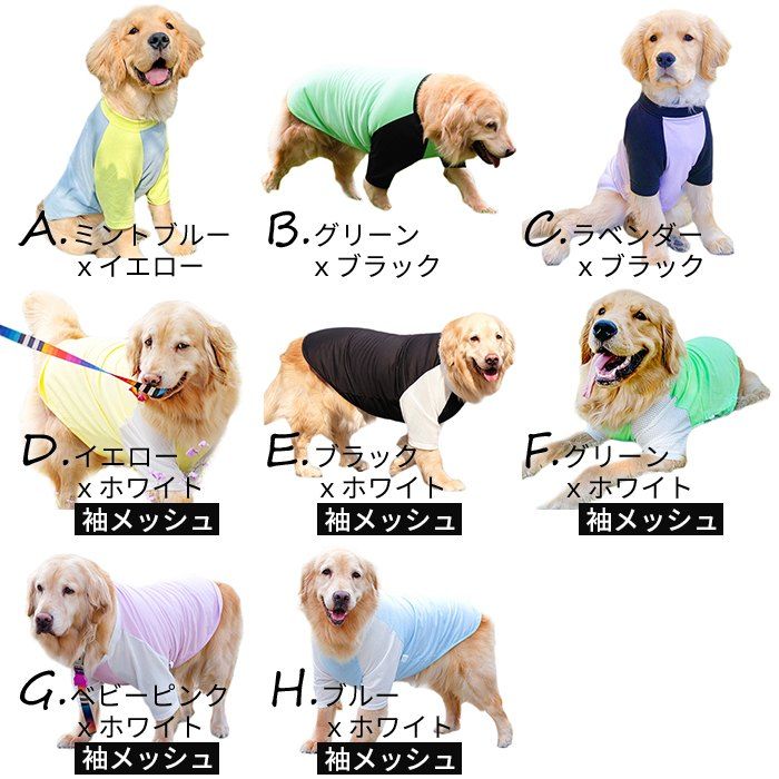 5XLサイズ】大型犬 Tシャツ 犬 服 夏 3XL-8XL メッシュ ゴールデン