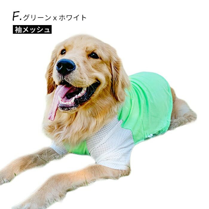 5XLサイズ】大型犬 Tシャツ 犬 服 夏 3XL-8XL メッシュ ゴールデン