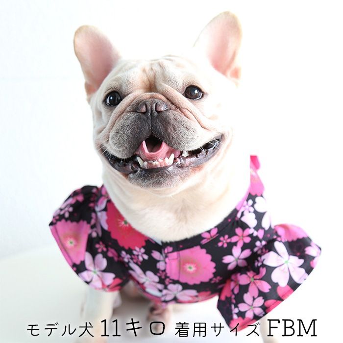 XSサイズ】浴衣 犬用 フレンチブルドック服 フレブル ゆかた 薄手