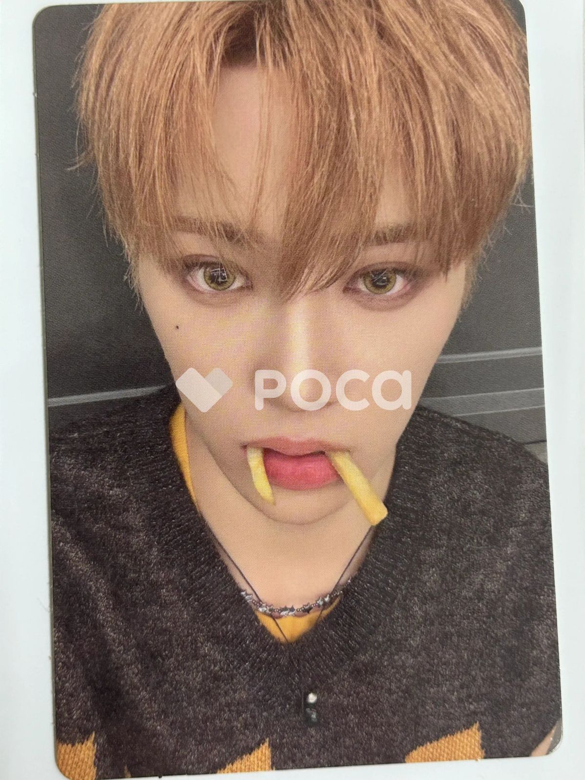 ALPHA DRIVE ONE アルノ EUPHORIA RANDOM TRADING PHOTO CARD SET