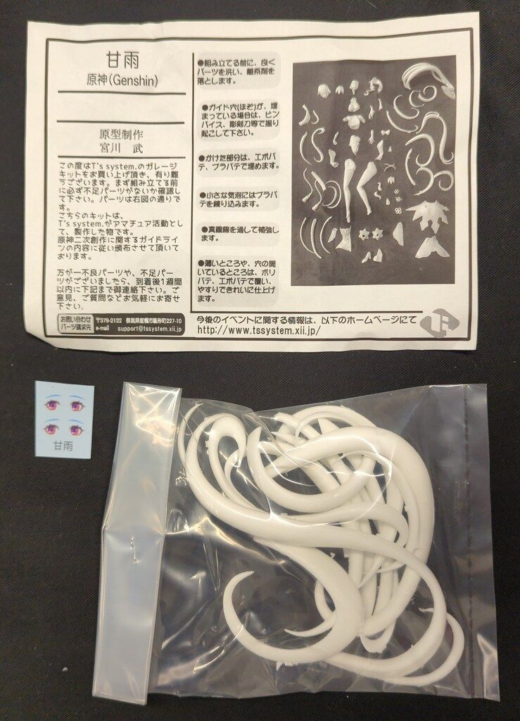 T's system レジンキャストキット 原型 宮川武 甘雨 - メルカリ