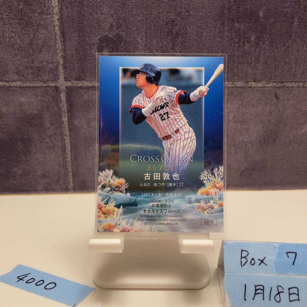 2025 BBM 古田敦也 36/50 サイン ヤクルトスワローズ Cross Ocean