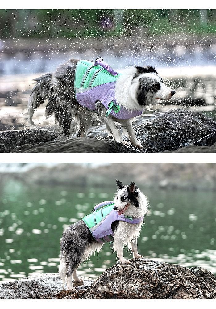 Lサイズ】【新色追加】Truelove 犬 ライフジャケット ハンドル付き