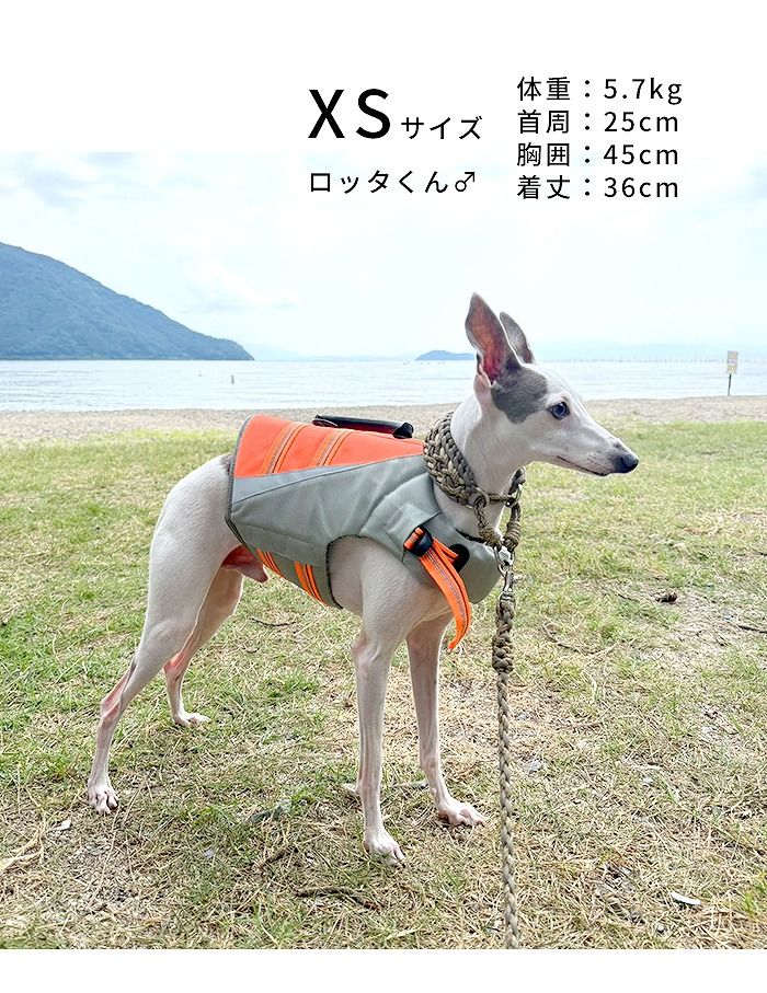 Lサイズ】【新色追加】Truelove 犬 ライフジャケット ハンドル付き