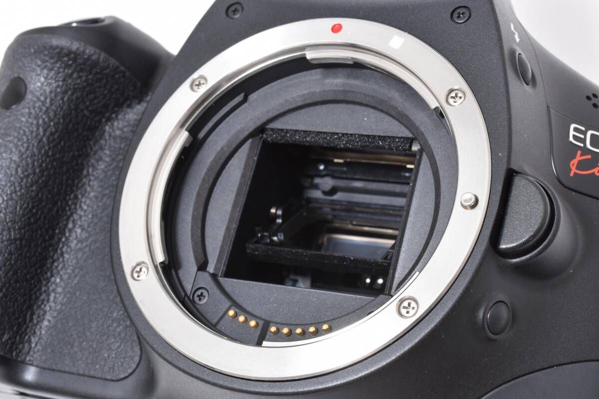 ☆美品☆キャノン Canon EOS Kiss X4 ボディショット数3533回☆ W0288