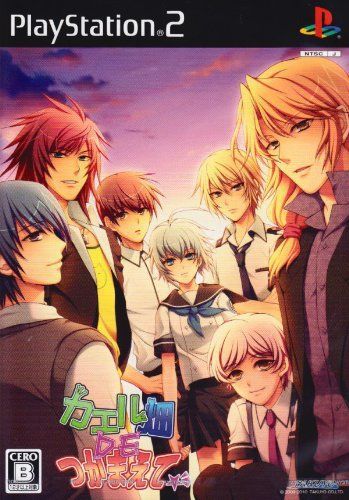 カエル畑DEつかまえて[GAME]（中古） - メルカリ