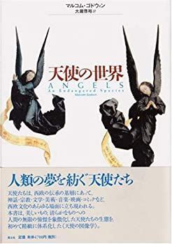 【中古-非常に良い】 天使の世界