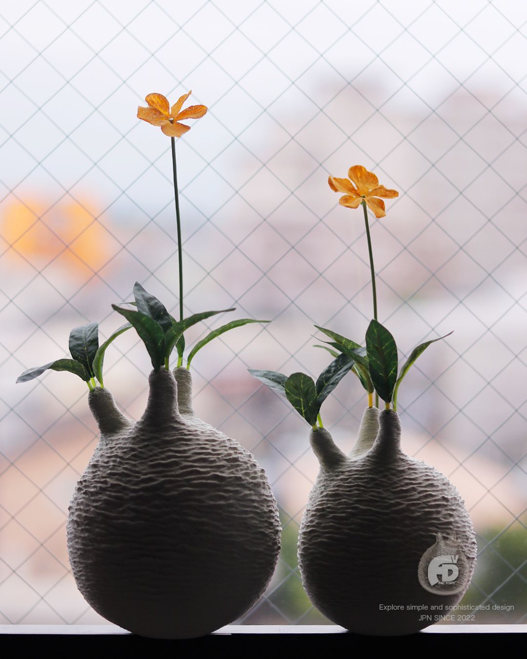 Isaka Tomohiro様 4set 触れたくなるCaudex造形 パキポディウム