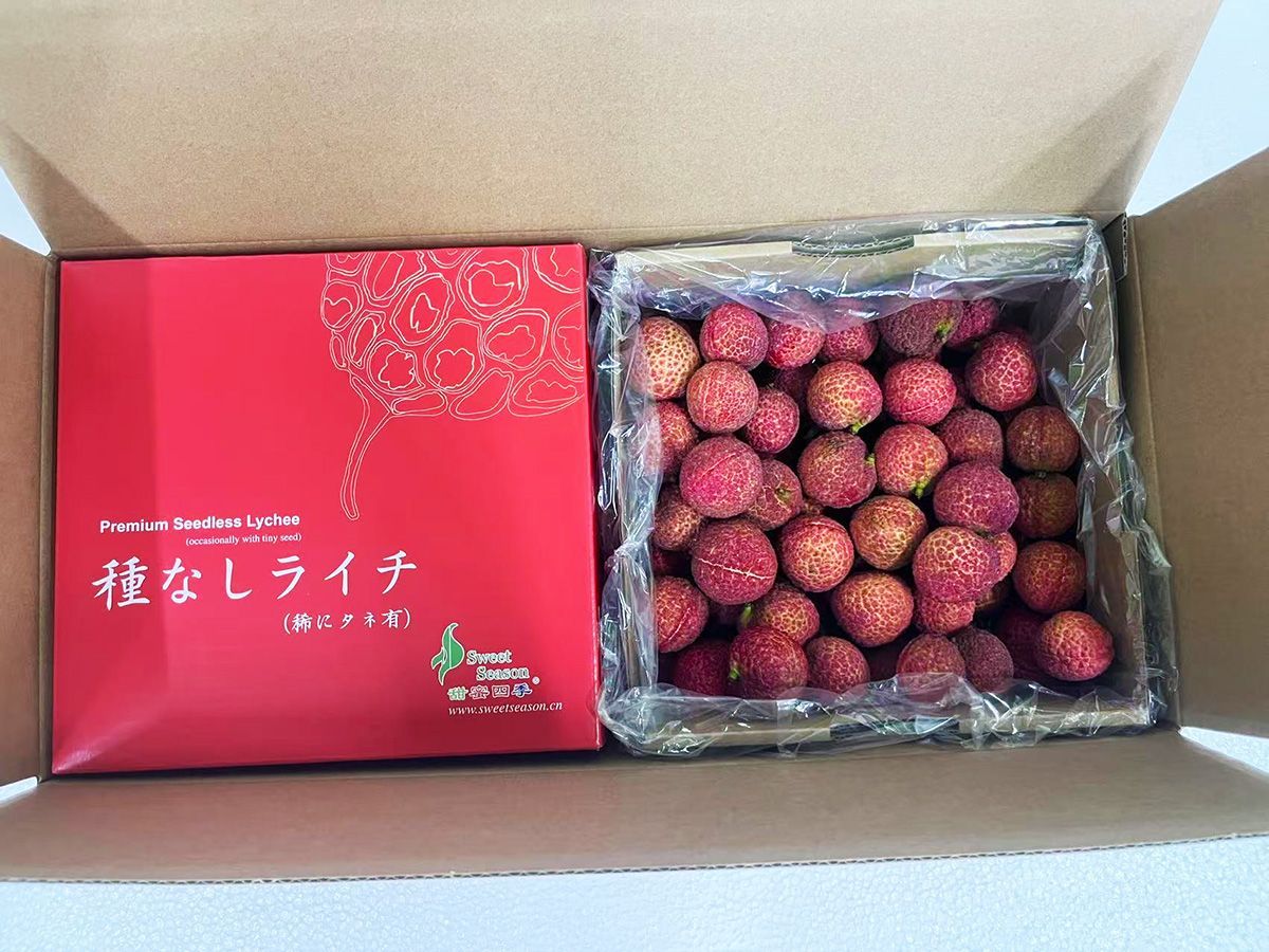 予約】種無し生ライチ 約2kg 希少高級品種 中国産 - メルカリ