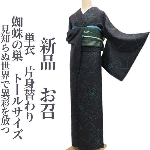 正絹 天目織り お召 訪問着 一つ紋付 銀通し 作家もの トールサイズ❣️ ❁tomihisa❁新品 単衣 片身替わり 蜘蛛の巣 着物“二人の自分