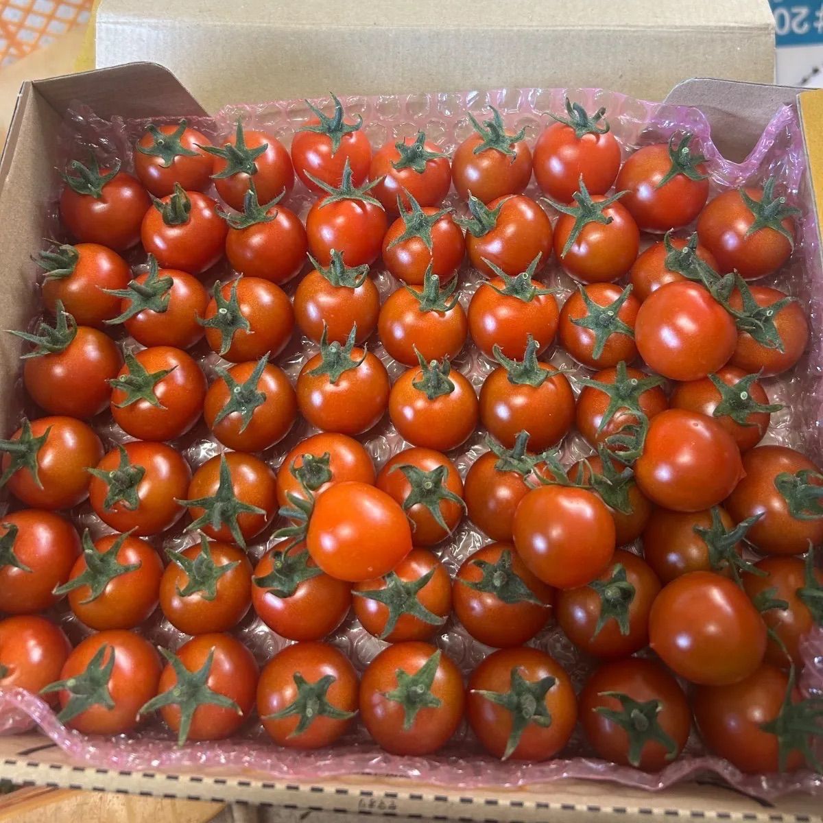 熊本県産ミニトマト(千果) 800g 朝摘み農家直送 - メルカリ