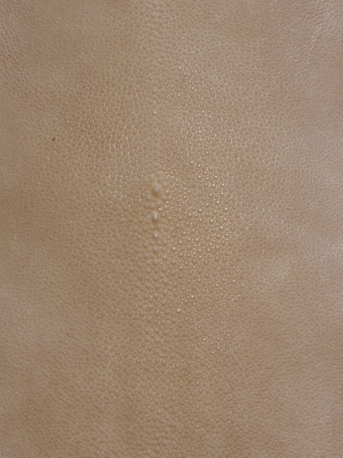 刀剣用 鮫皮 エイ革 10-3 - メルカリ