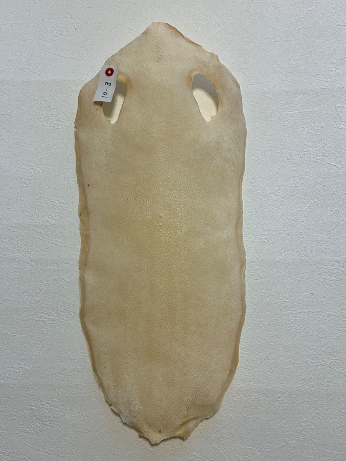 刀剣用 鮫皮 エイ革 10-3 - メルカリ