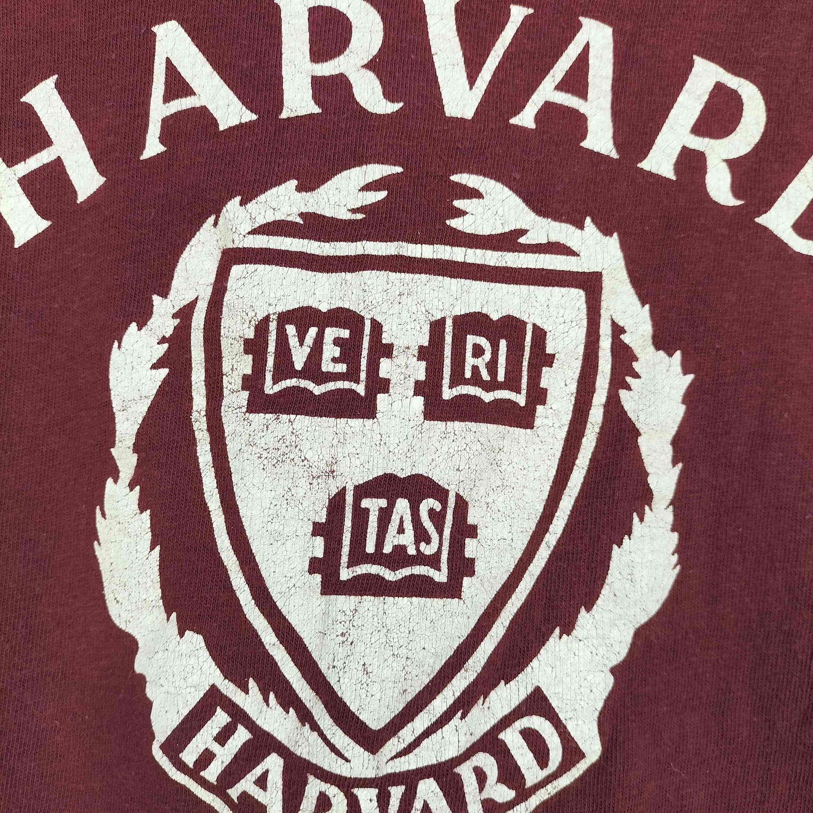 チャンピオン Champion 80S USA製 トリコタグ HARVARD ラバープリント