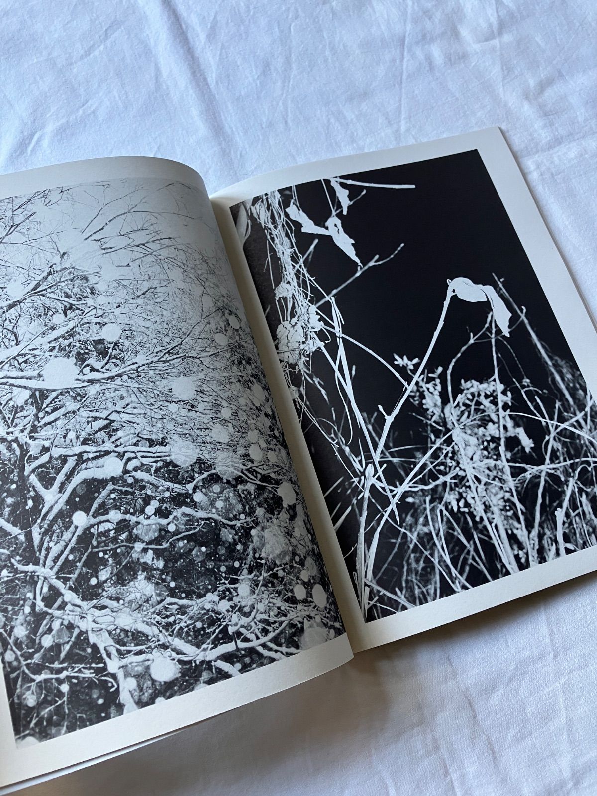 Juergen in ed Teller the teller juergen purple book: japan: Teller